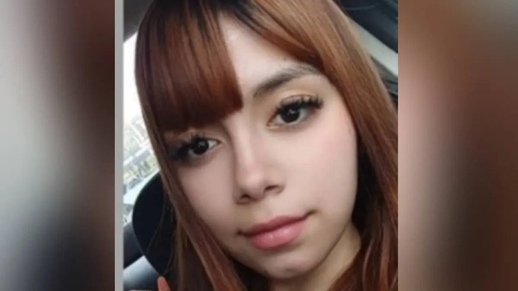 Alerta en Neuquén por la desaparición de una adolescente de 16&nbsp;años