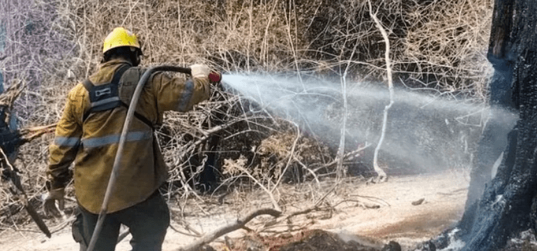 Las lluvias ayudaron a contener el incendio en El Turbio que arrasó 3.000&nbsp;hectáreas