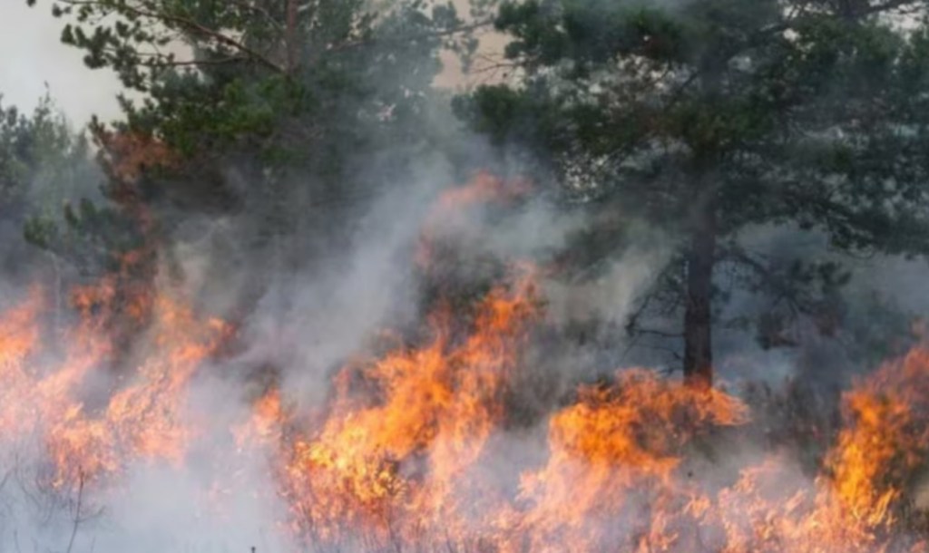Alivio parcial: controlaron dos focos de incendio en Chubut, pero la lucha&nbsp;continúa