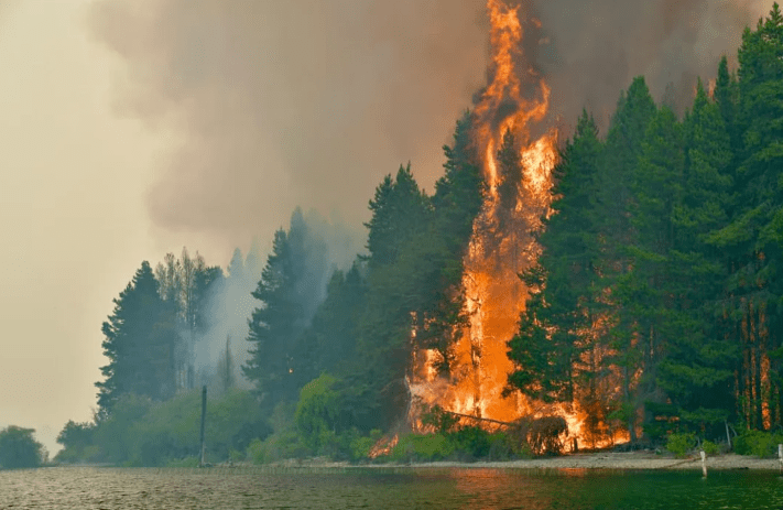 Incendios en Chubut: una mujer allanada negó vínculos con los focos y habló de un conflicto de&nbsp;tierras