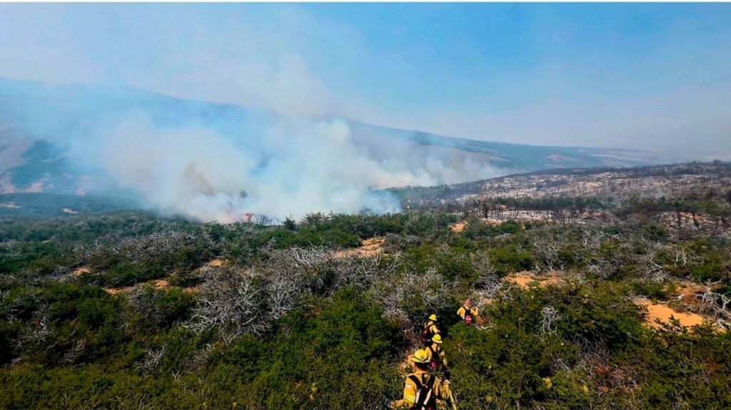 La lluvia alivió, pero no detuvo los incendios en&nbsp;Chubut