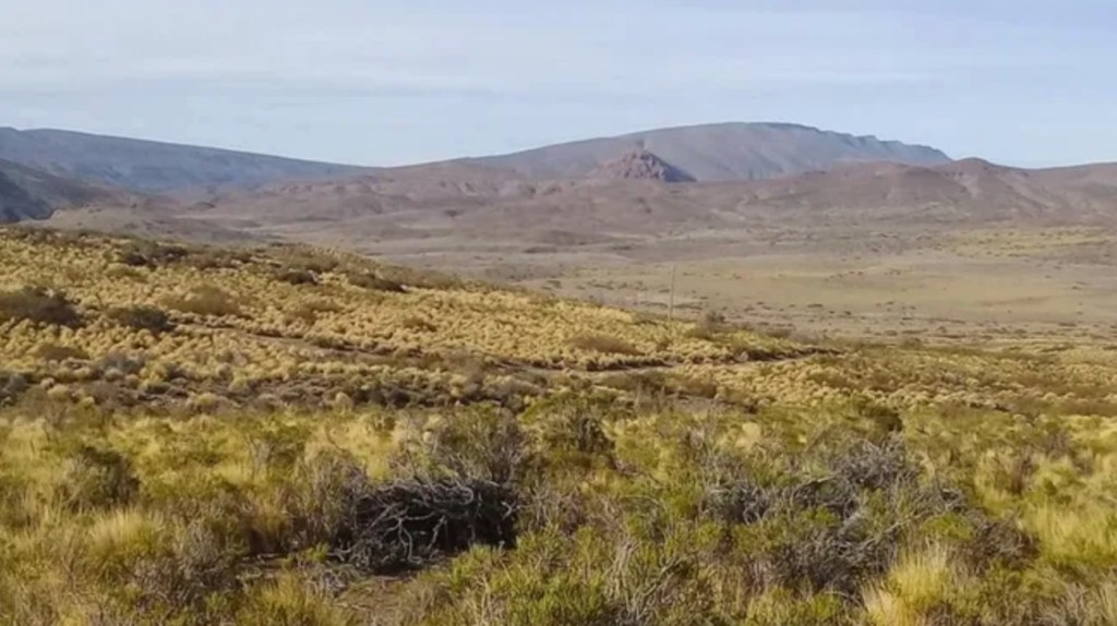 Capturaron al automovilista que huyó tras provocar un siniestro fatal en la&nbsp;capital