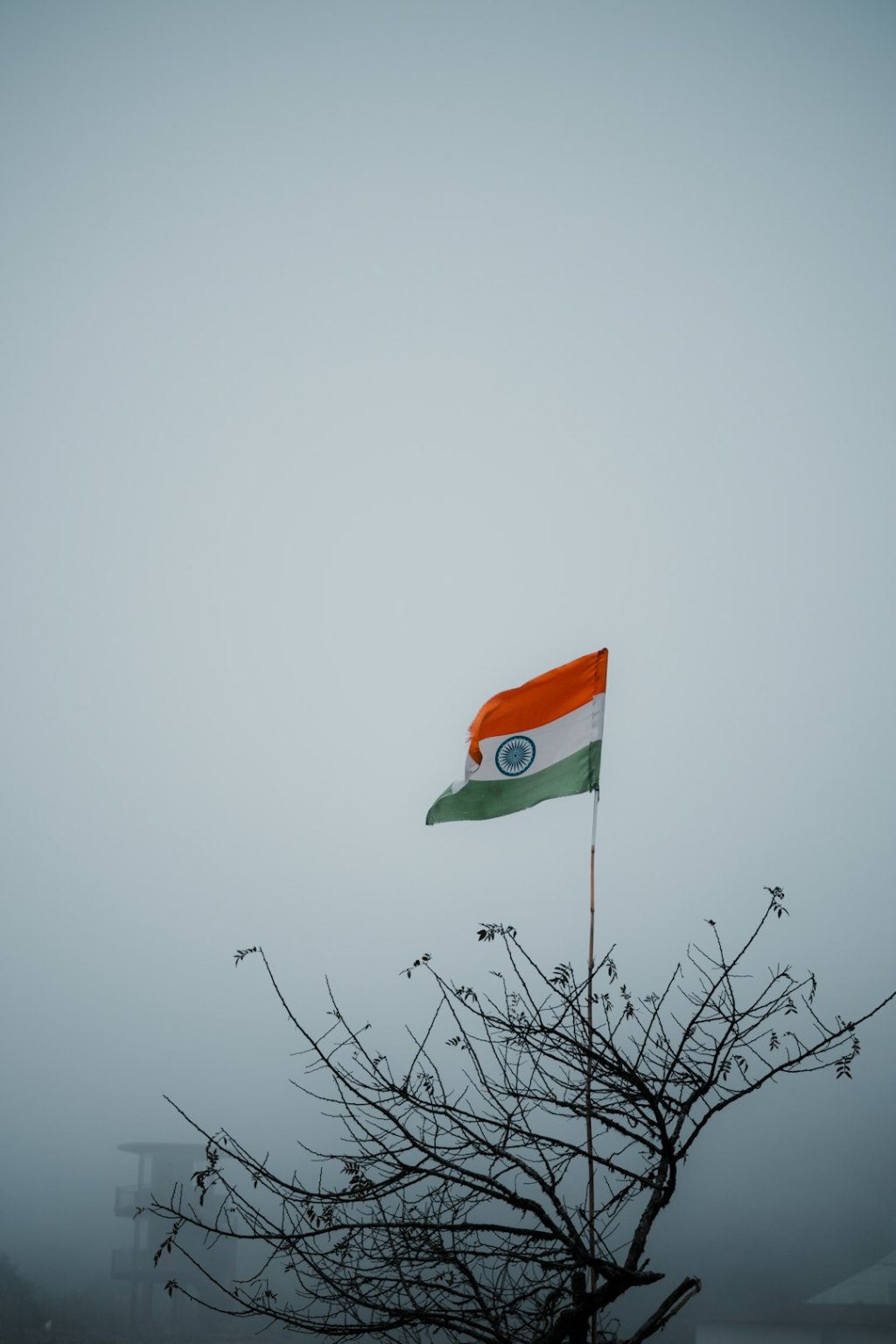 Precios de soja en India se disparan por restricción a cultivos&nbsp;modificados