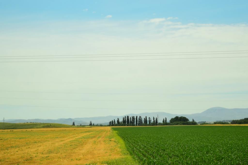 Superar los blanco y negro: el desafio del agro&nbsp;argentino